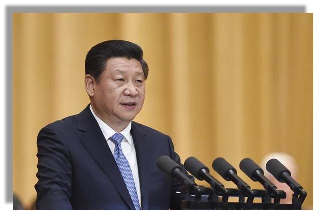 ʮ��ί����ӡ����ҽ�ƻ����������ۺ���������������